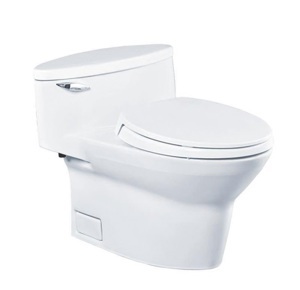 Bồn cầu ToTo CW904W/F - 1 khối