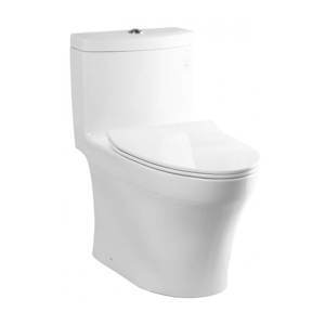 Bồn cầu Toto 1 khối MS889DRT8