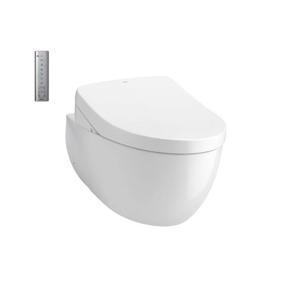 Bồn cầu Toto CW812REA/TCF4911EZ/WH172AT/TCA465