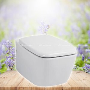 Bồn cầu treo tường American Standard WP-2218