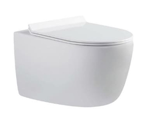 Bồn cầu treo tường Bravat C21172UW-ENG