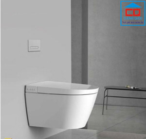 Bồn cầu treo tường Bravat C21235W-CD