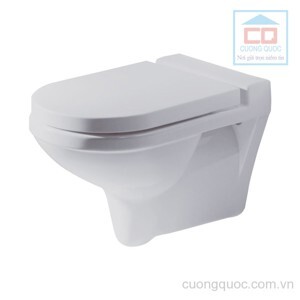 Bồn cầu treo tường Bravat C2166W-ENG