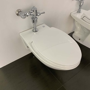 Bồn cầu treo tường ToTo CW550/TC393VS