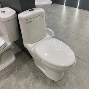Bồn cầu Viglacera BS107, 2 khối