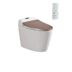 Bồn cầu Viglacera thông minh V94.GW