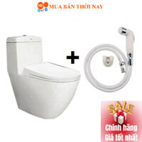 Bồn Cầu Viglacera V199 Nắp Êm V86 Tặng kèm vòi xịt nhựa VG826