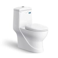 Bồn cầu Viglacera V38