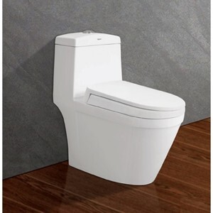 Bồn cầu Viglacera V45 - 1 khối