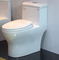 Bồn Cầu Viglacera V45