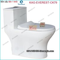 Bồn cầu Vuông 1 khối Thiên Thanh chinh hãng KAG-EVEREST-CK79