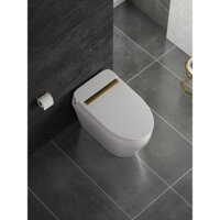BỒN CẦU XẢ TRỰC TIẾP KHÔNG KÉT NƯỚC CHERRY 6806