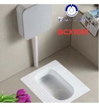 Bồn Cầu Xổm CleanMax BCX1001