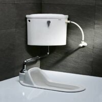 Bồn cầu xổm két nước treo tường Caesar CT1250