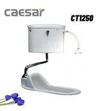 Bồn Cầu Xổm Và Két Nước Treo Tường Caesar CT1250