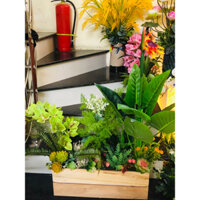 bồn cây thiên điểu size đại