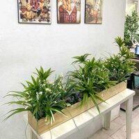 Bồn Cây Thủy Trúc Giả Trang Trí Cửa Hàng, Studio, Tiệm Quán, Văn Phòng, Nhà Cửa – Dài 1m2 – Mã: PN-CG0182