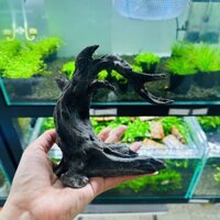 bon sai giả lũa - cây bonsai thiết kế layou thuỷ sinh
