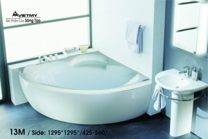 Bồn tắm Việt Mỹ 13M