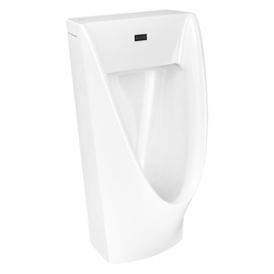 Bồn tiểu nam American WP-6519.DC