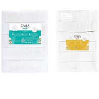 Bông Bạch Tuyết Calla Việt Nam