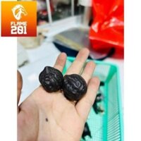 Bóng bi lăn tay Eaglewood Solid Walnut Ball Health Massage