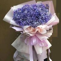 Bông Bi Tím Đẹp-Bó Hoa Dài Giá 1 Triệu