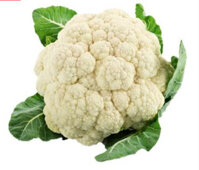 Bông Cải Trắng Đà Lạt