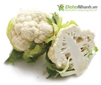 Bông Cải Trắng Đà Lạt