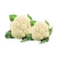 Bông cải trắng Đà Lạt Vietgap Trường Phát