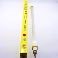 Bóng Cao Tần Lò Vi Sóng 110V-500W Loại 28cm