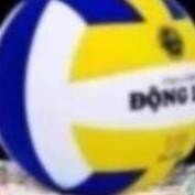 Bóng Chuyền Da Chính Hãng Động Lực DL200 Giá Rẻ