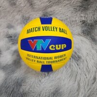 Bóng chuyền Geru VTV cúp