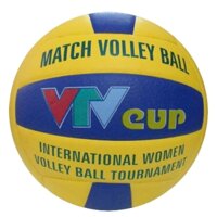 Bóng chuyền Geru VTV Cup