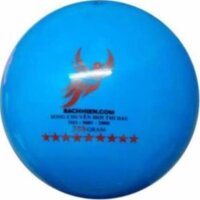 Bóng chuyền hơi 350 gram tiêu chuẩn thi đấu (tặng kim bơm bóng)