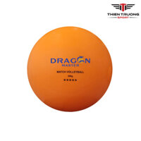 Bóng chuyền hơi Dragon Master DGA 300g