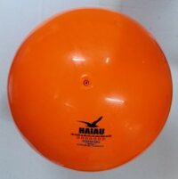 BÓNG CHUYỀN HƠI - HẢI ÂU - 200G