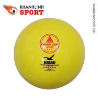 Bóng chuyền hơi Hải Âu vàng 250g - BCH005
