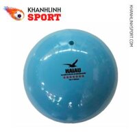 Bóng chuyền hơi Hải Âu xanh 250g - BCH004