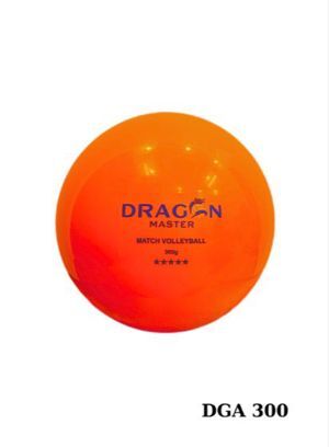 Bóng chuyền hơi Thăng Long