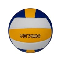 Bóng chuyền Thăng Long - VB7000