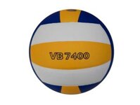 BÓNG CHUYỀN THĂNG LONG 7400