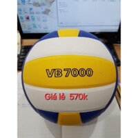 Bóng chuyền thăng long VB7000