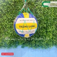 Bóng chuyền TL 7400/Trái