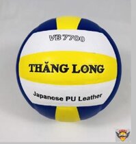 Bóng chuyền Thăng Long DG7700