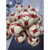 Bóng Đá 2030 Futsal