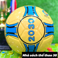 Bóng đá Futsal 2030