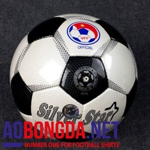 Quả Bóng Động Lực Petada số 5 da PU UHV 2.95