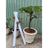 bóng đèn bán nguyệt 1.2 60w