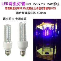 Bóng đèn bẫy côn trùng được cấp bằng sáng chế 3.2V12V220V Sóng lai 365-420nm Đen Ánh sáng tím Đèn led bẫy muỗi